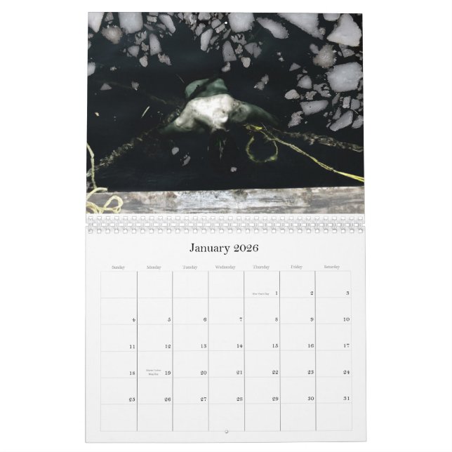 Calendário 2011, 12 meses de imagens de perturbação por Y… (Jan 2026)