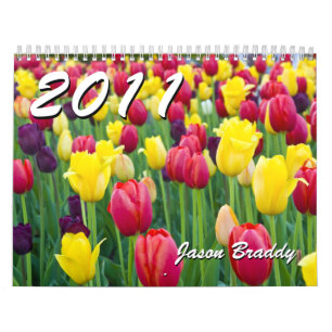 calendário 2011 da foto