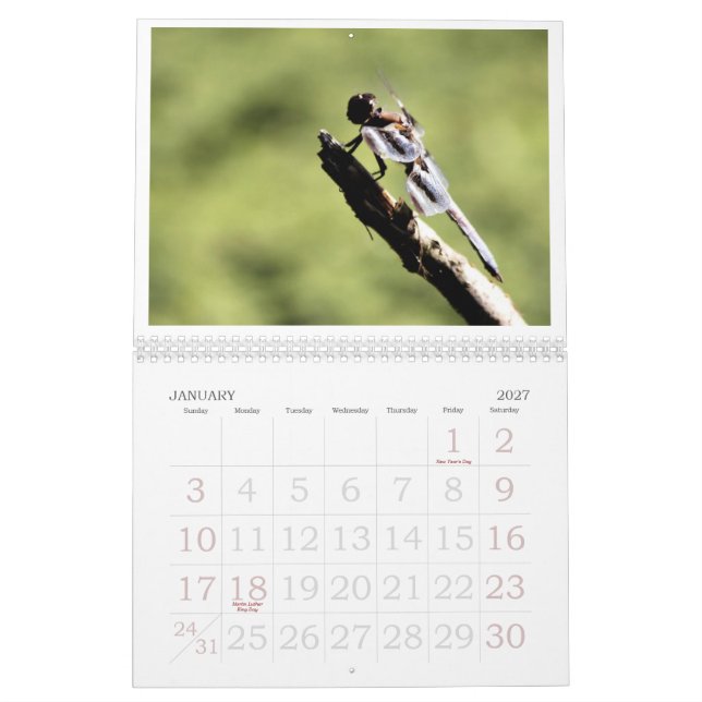 Calendário 2011 da libélula (Jan 2027)