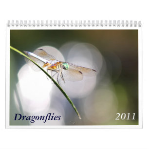 Calendário 2011 da libélula