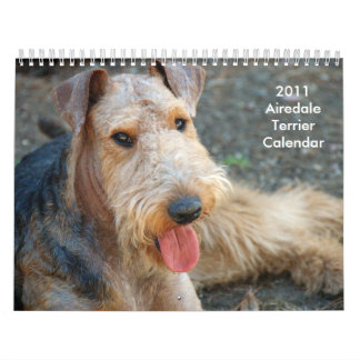 Calendário 2011 de Airedale Terrier