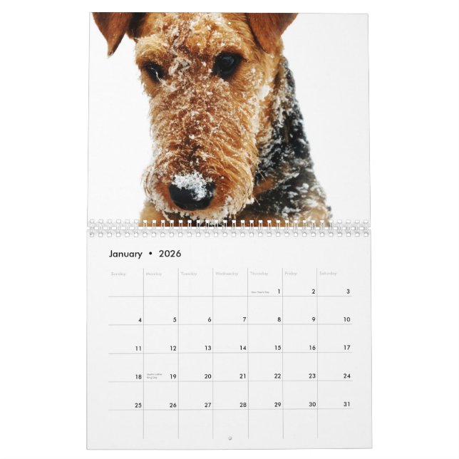Calendário 2011 de Airedale Terrier (Jan 2026)