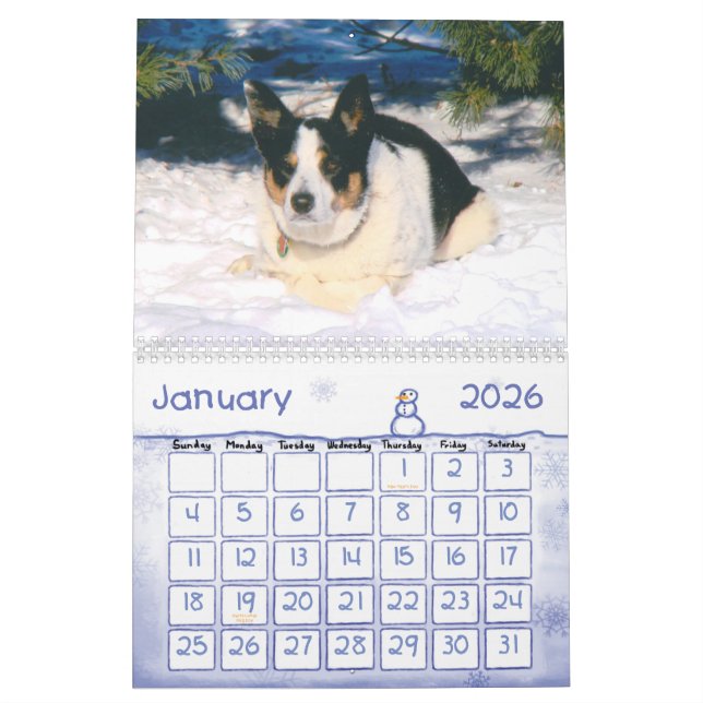 Calendário 2011 de border collie (Jan 2026)