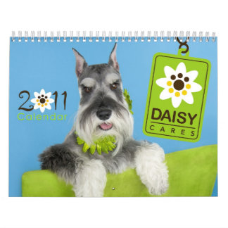 Calendário 2011 de DaisyCares