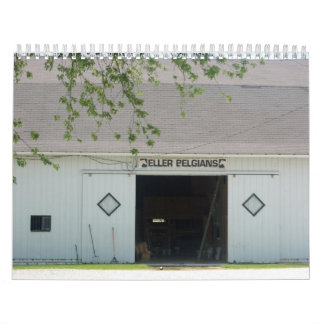 Calendário 2011 de Eller