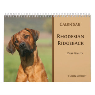 Calendário 2011 de Rhodesian Ridgeback