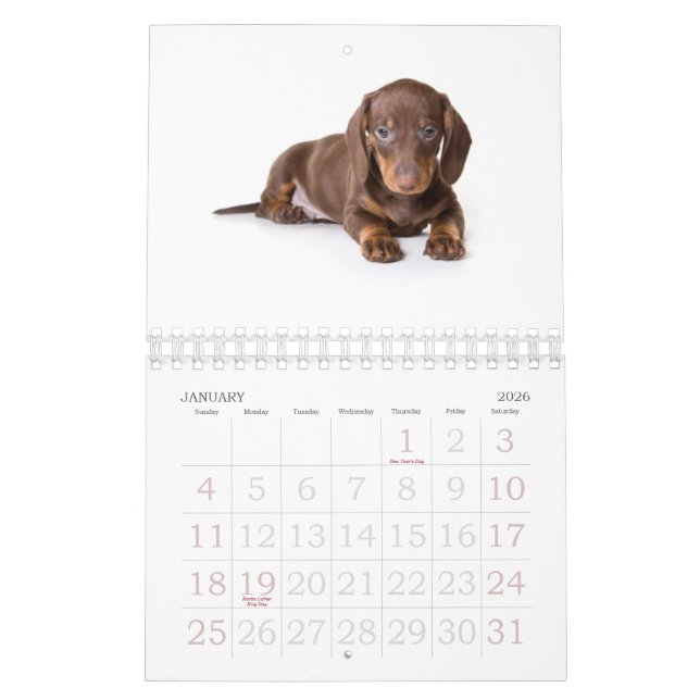 Calendário 2011 do filhote de cachorro do (Jan 2026)