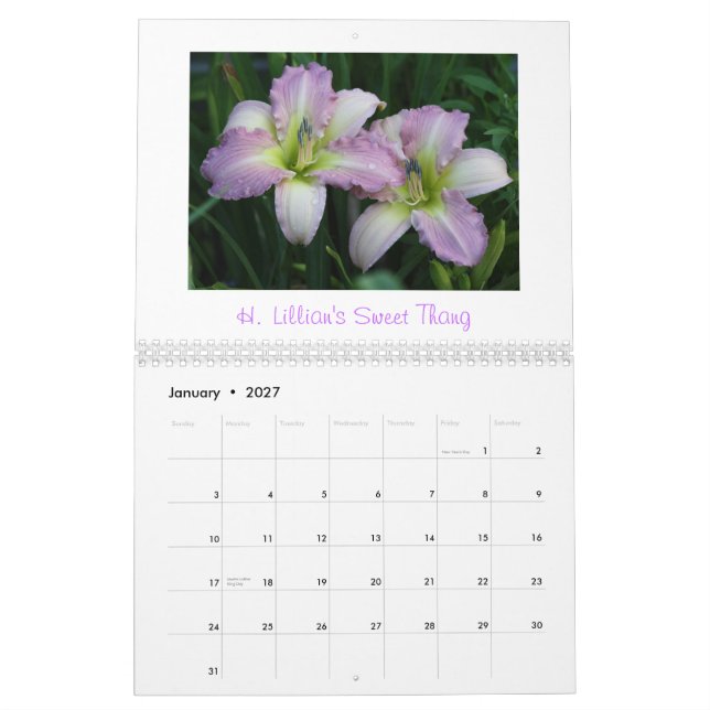 Calendário 2011 do hemerocallis            … (Jan 2027)