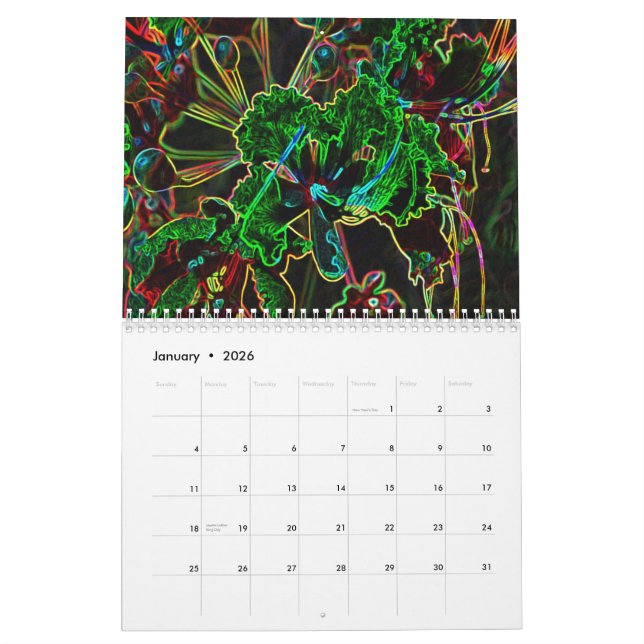 Calendário 2011 Funky (Jan 2026)