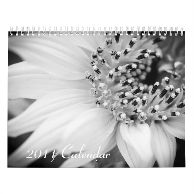 Calendário 2011 - preto e branco (Capa)