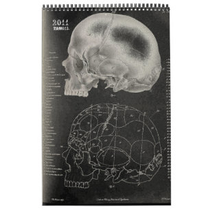 Calendário 2011 SKULL/SKELETON/ANATOMY - Tang13.