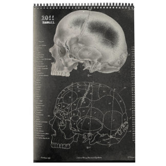 Calendário 2011 SKULL/SKELETON/ANATOMY - Tang13.