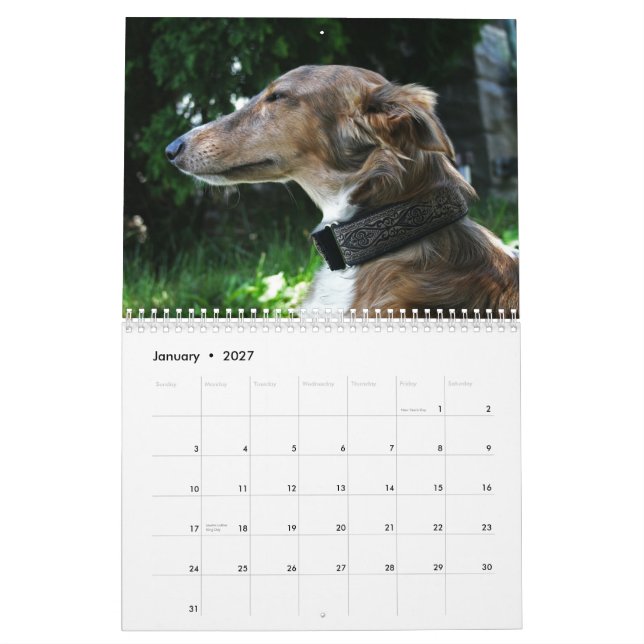 Calendário 2011 Windhounds macios 2011 (adultos) (Jan 2027)