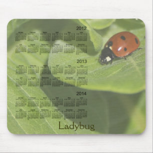 Calendário 2012-2014 do joaninha Mousepad