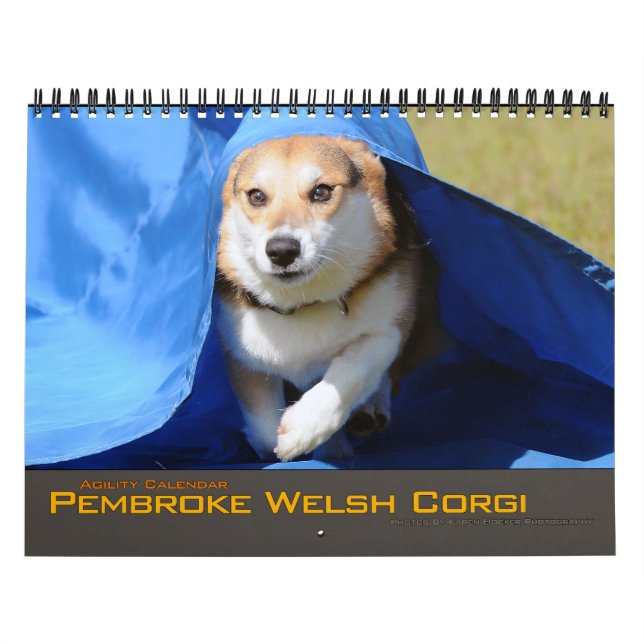 Calendário 2012 da agilidade do Corgi de Galês do (Capa)