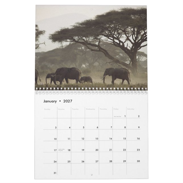 Calendário 2012 da natureza (Jan 2027)