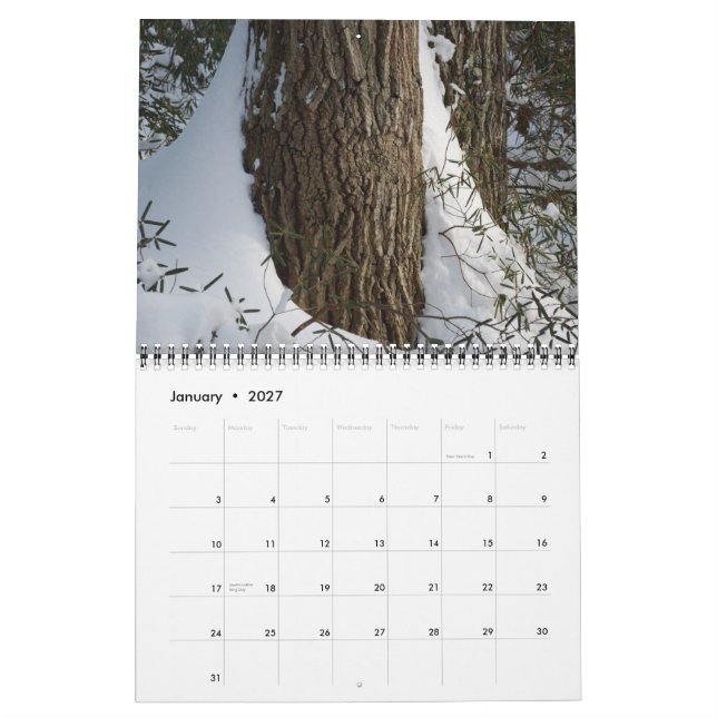 Calendário 2012 da sociedade da flor selvagem de (Jan 2027)