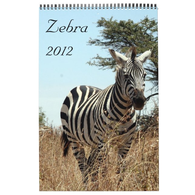 calendário 2012 da zebra (Capa)