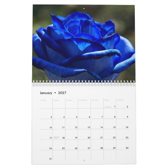 Calendário 2012 das flores de paraíso (Jan 2027)