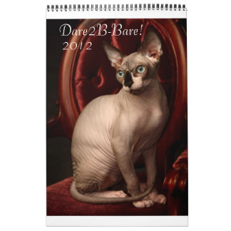 Calendário 2012 de Sphynx