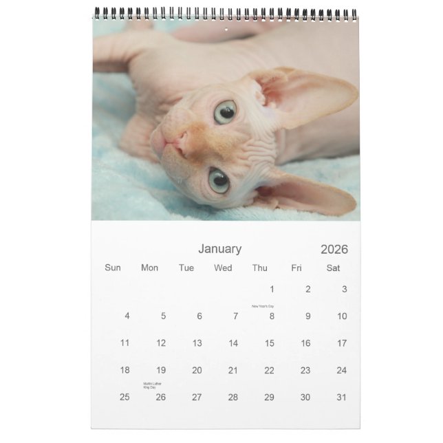 Calendário 2012 de Sphynx (Jan 2026)