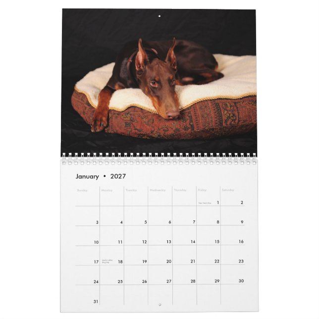 Calendário 2012 do Doberman (Jan 2027)