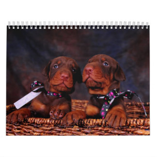 Calendário 2012 do filhote de cachorro do Doberman