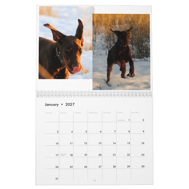 Calendário 2012 do filhote de cachorro do Doberman (Jan 2027)