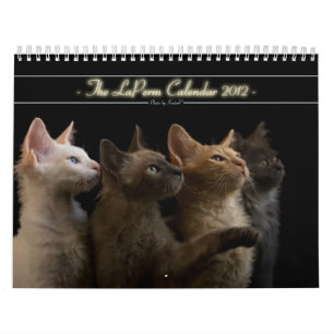 Calendário 2012 do gato