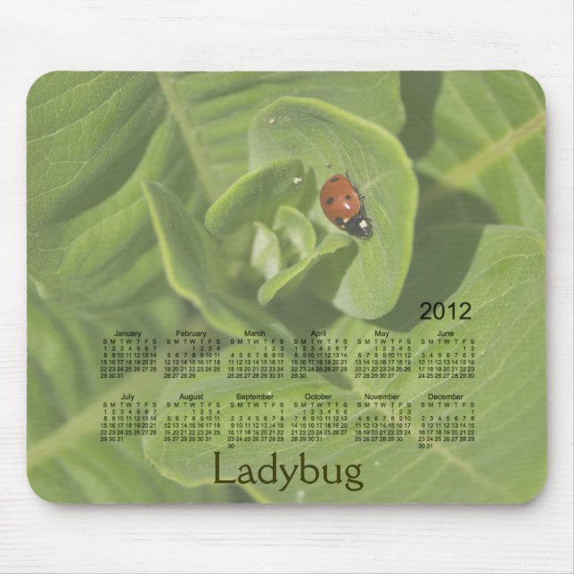 Calendário 2012 do joaninha Mousepad (Frente)