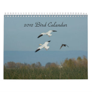 CALENDÁRIO 2012 DO PÁSSARO