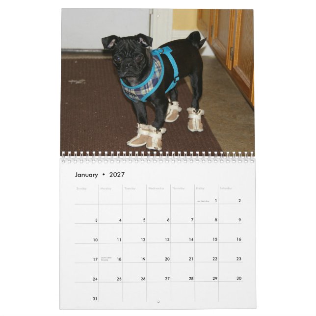 Calendário 2012 do Pug (Jan 2027)
