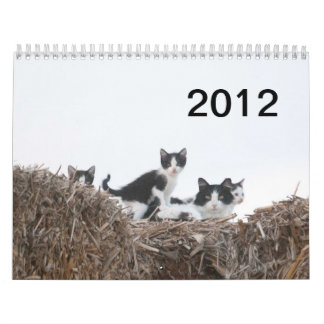Calendário 2012 gatinhos do rancho dos poços