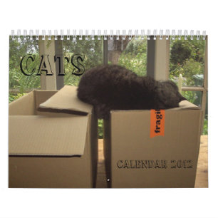 Calendário 2012 - Gatos