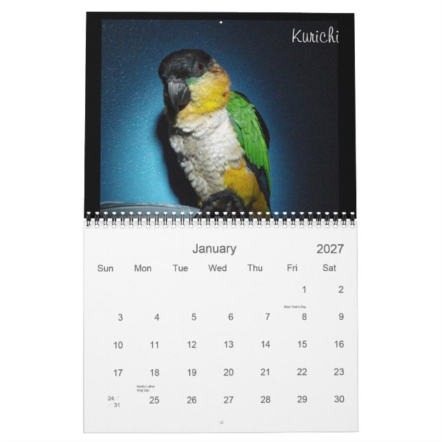 Calendário 2012 louco do Caique (Jan 2027)