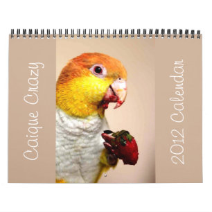 Calendário 2012 louco do Caique