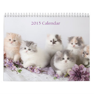 Calendário 2013