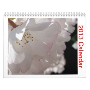 Calendário 2013