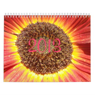 calendário 2013
