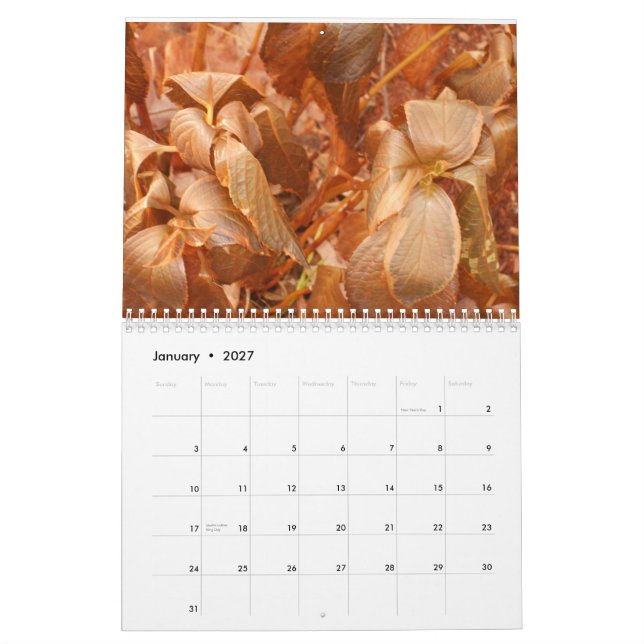 calendário 2013 (Jan 2027)