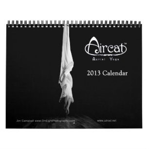 Calendário 2013 aéreo da ioga de Aircat