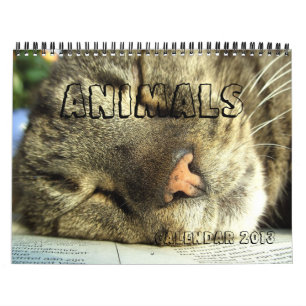 Calendário 2013 - Animais