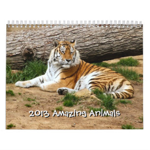 Calendário 2013 Animais Selvagens Animais Selvagens 12 Meses