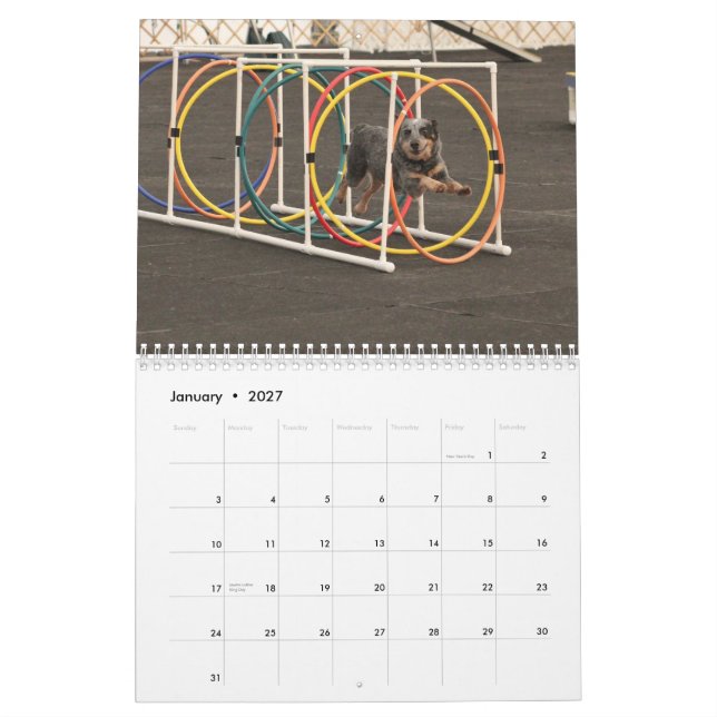 Calendário 2013 cães no funcionamento (Jan 2027)