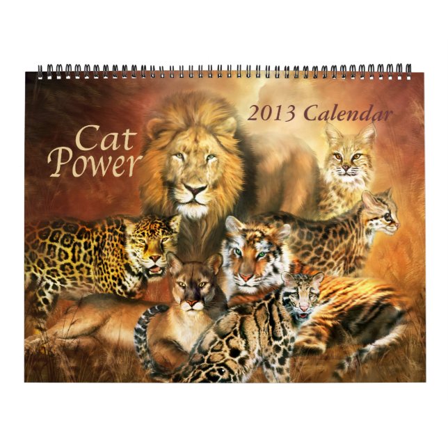 Calendário 2013 da arte de Cat Power (Capa)