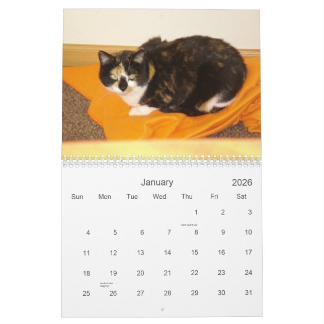 Calendário 2013 da contagem regressiva (Jan 2026)