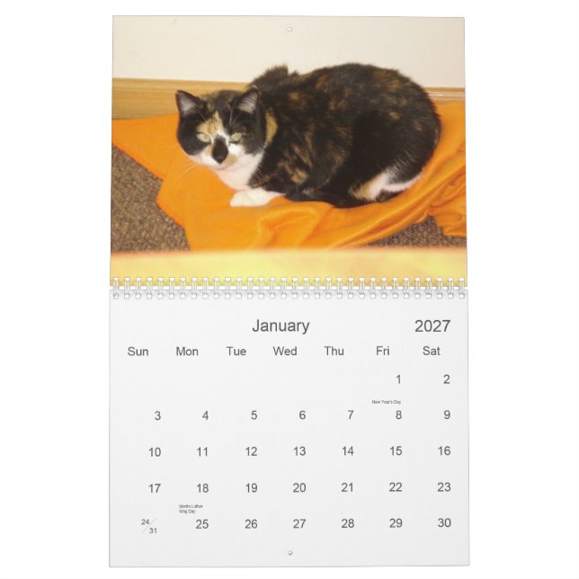 Calendário 2013 da contagem regressiva (Jan 2027)