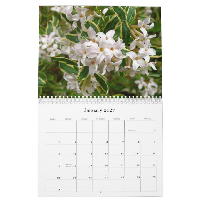 Calendário 2013 da flor (Jan 2027)
