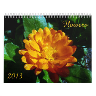 Calendário 2013 da flor