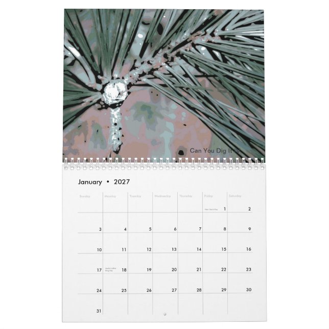 Calendário 2013 da flor da natureza da paisagem de (Jan 2027)